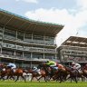 horsesforcourses87